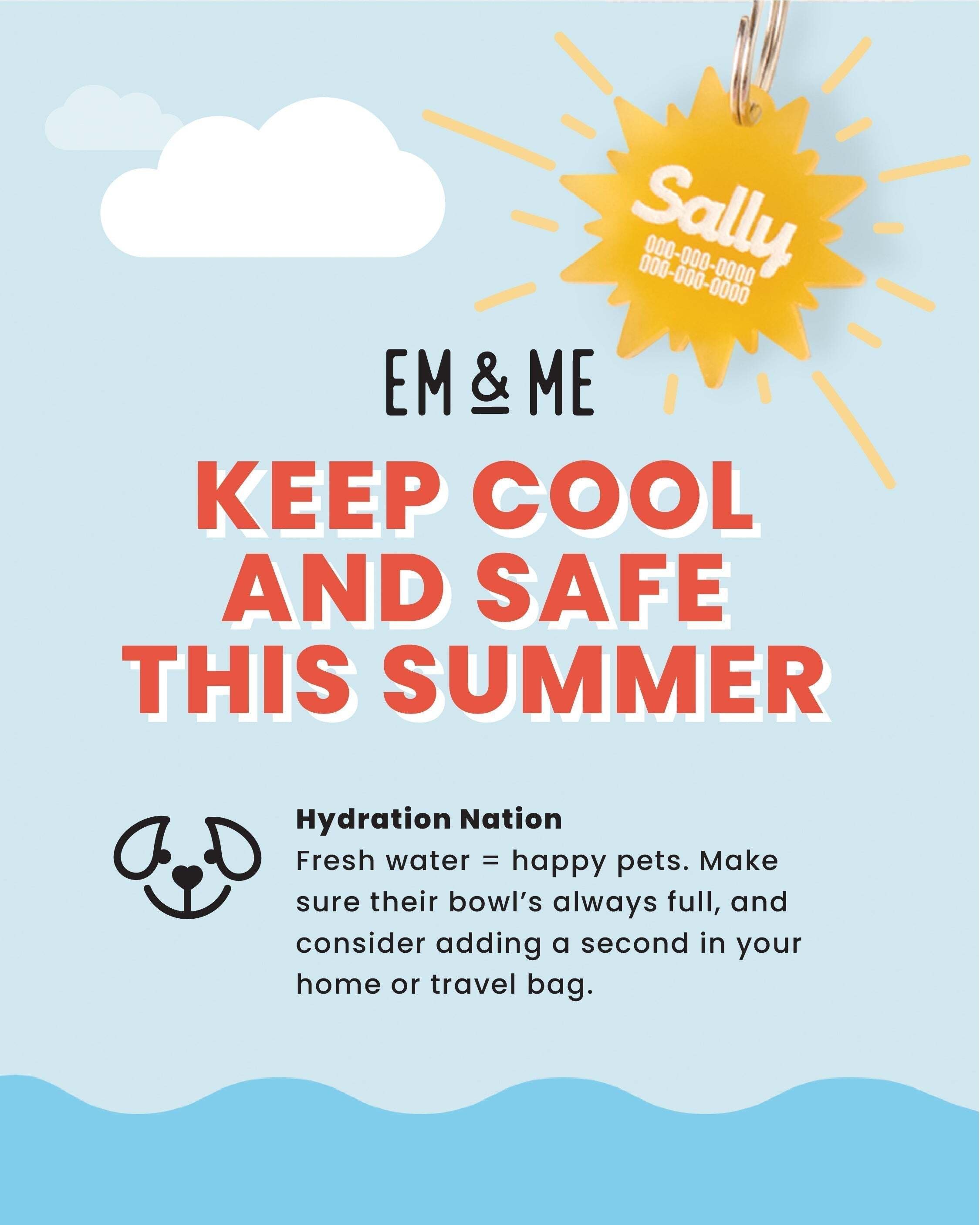 Keep Cool & Safe This Summer: Tips for Happy Pets